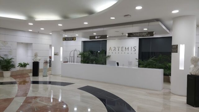 1671605008154_HospitalProfileImage_P_Artemis