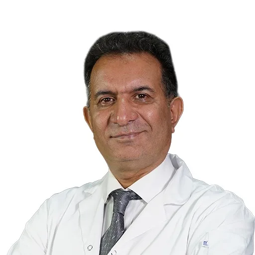 Dr. Mehdi Nekoomehr