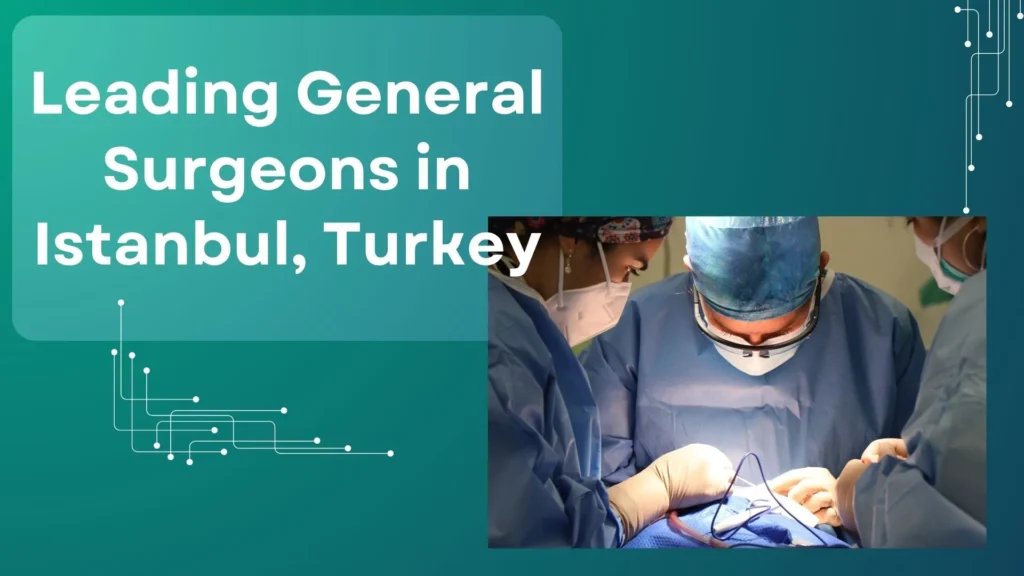 Leading Plastic Surgeons in Turkey for Aesthetic Excellence