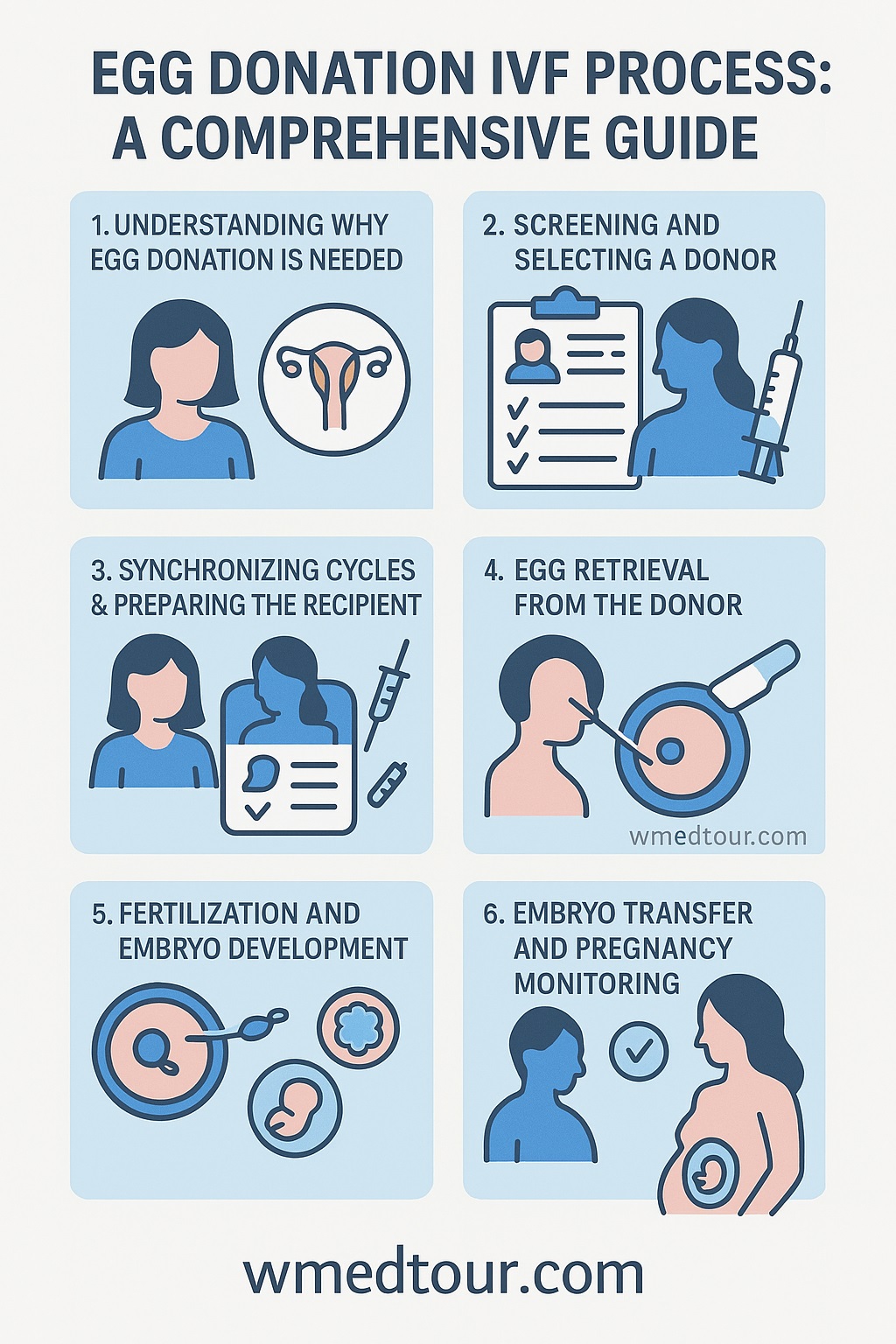 Illustrated infographic showing the six stages of the Egg Donation IVF process, including donor screening, egg retrieval, fertilization, and embryo transfer
